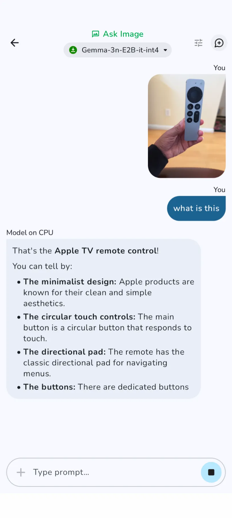 Explain Image using Gemma 3n