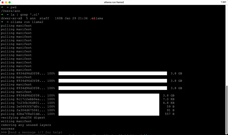 Ollama Running Llama
