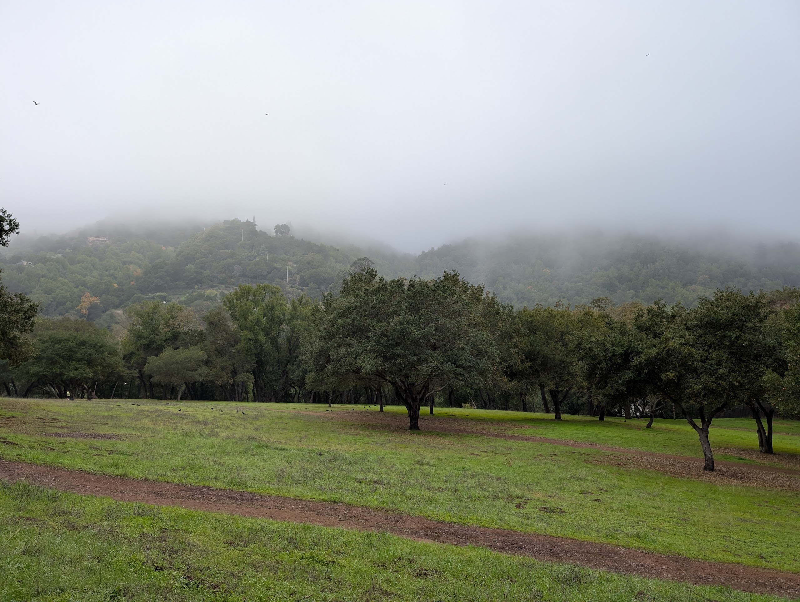 Figure test image from public directory