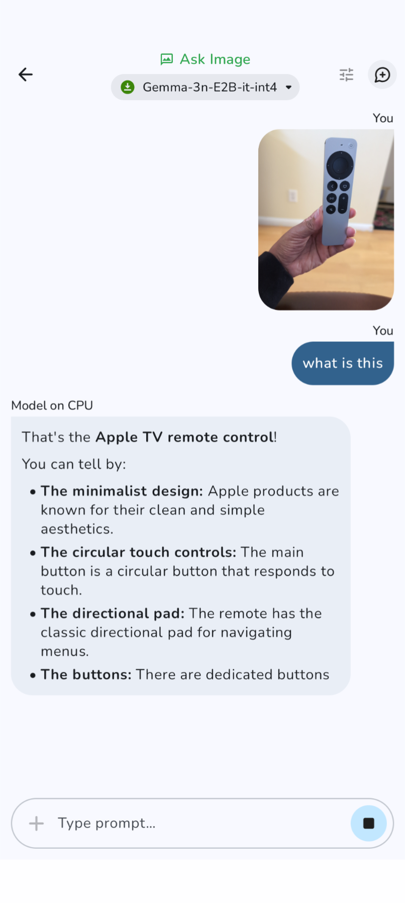 Explain Image using Gemma 3n